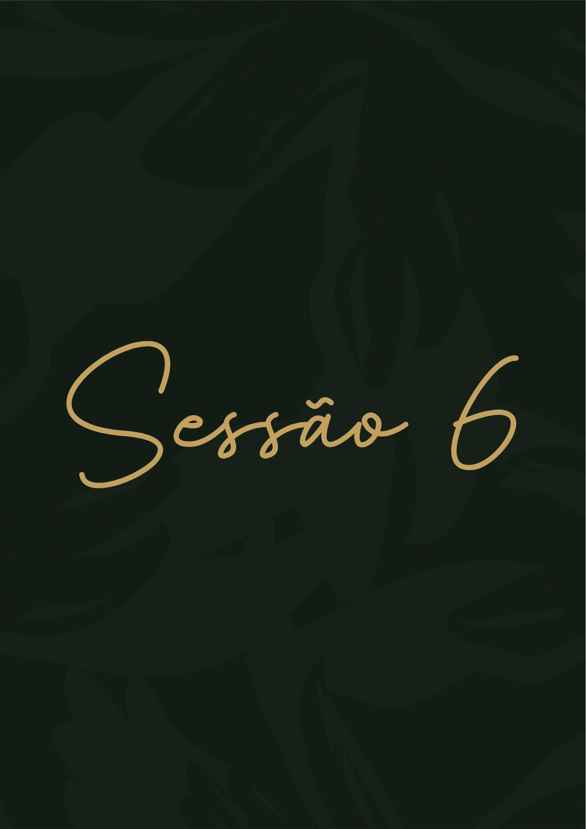 SESSÃO 6